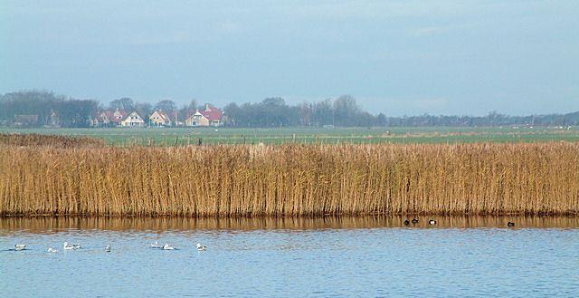 Radtour nach Hollum